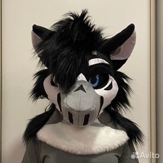 Фурсьют кот