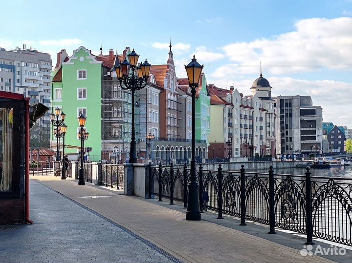 Праздник Селедки в Калининграде