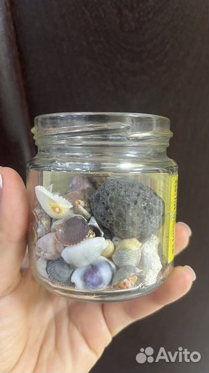 Ракушки для декора или поделок