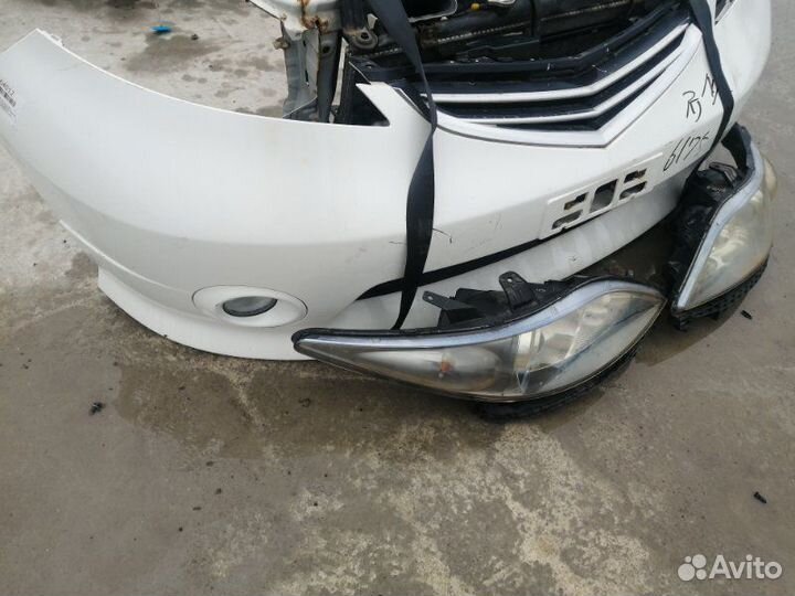 Nose cut Honda Elysion RR1