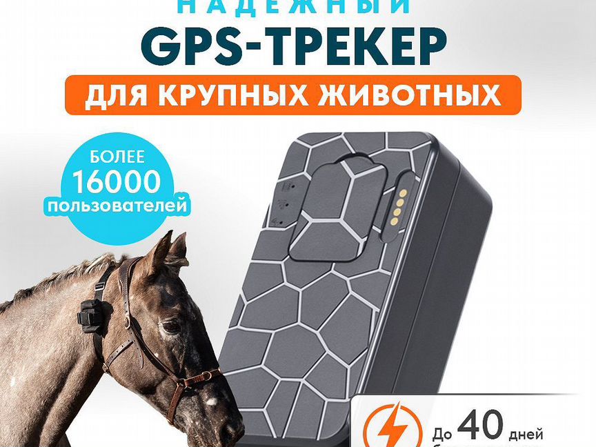 Gps трекер для крс