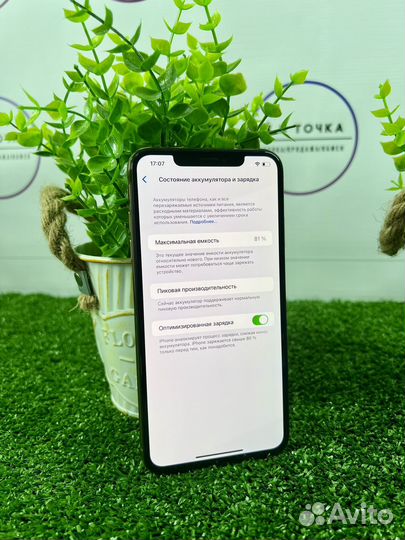 iPhone Xs Max, 512 ГБ