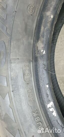 Maxxis ArcticTrekker NP3 205/60 R16