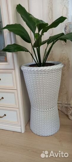 Мастер класс по плетению кашпо из ротанга