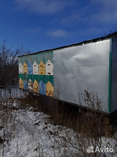 Продается пасека