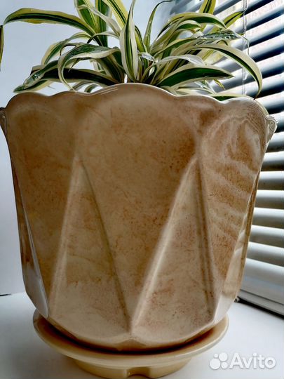 Керамическое кашпо