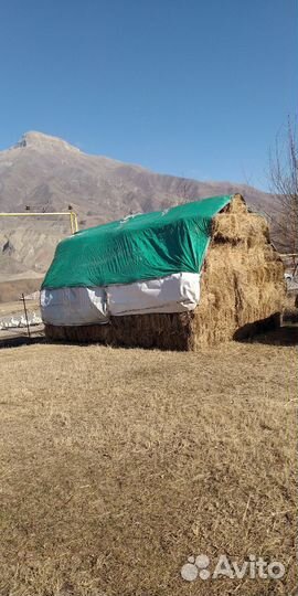 Продам сено в тюках