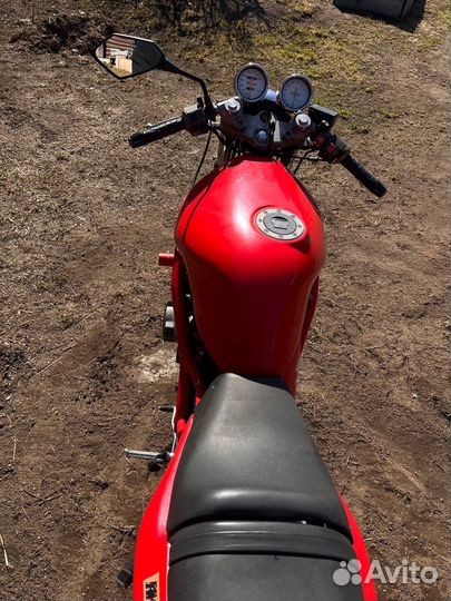 Suzuki bandit 250
