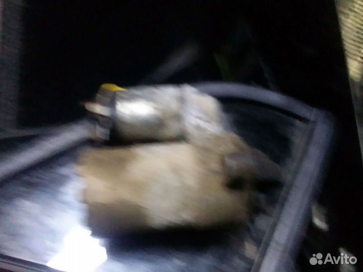 Дево матиз 2012г 0.8 обем стартер