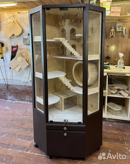 Витрина для шиншилл