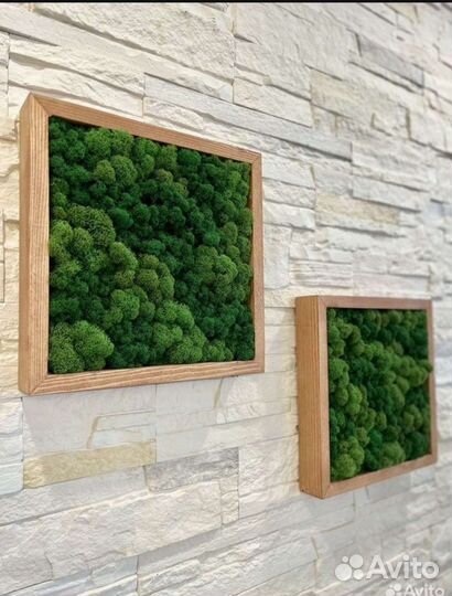 Квадратные полки со мхом/ декорация настенная