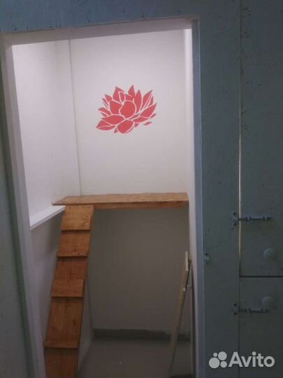 Зоогостиница 