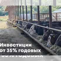 Инвестиции в сельское хозяйство. От 35 годовых