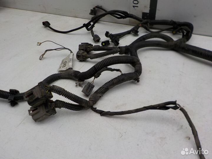 Проводка моторного отсека Ford Focus II 2008-2011