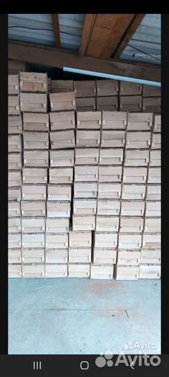 Ящики для овощей и фруктов