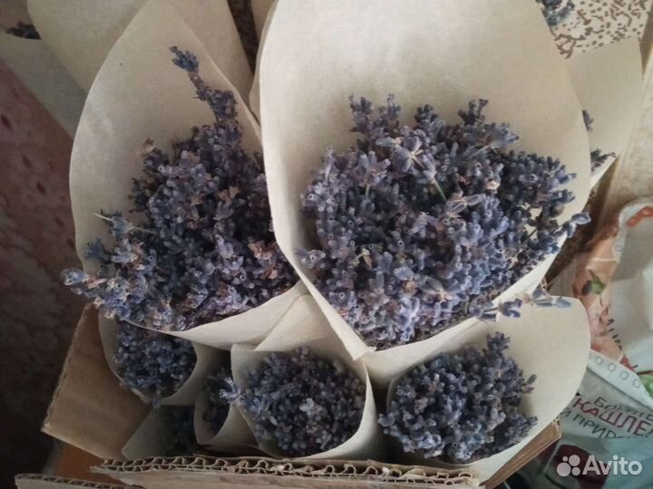 Букет из лаванды
