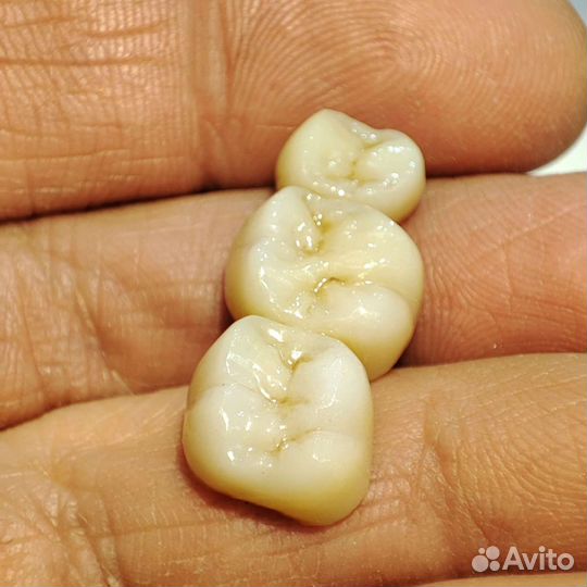 Цирконевые коронки анатомия