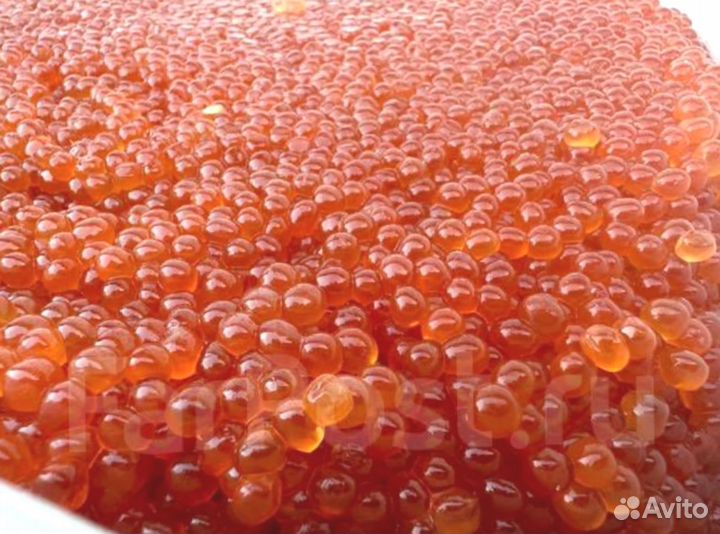 Красная икра горбуши