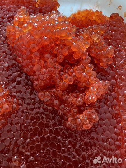 Икра красная