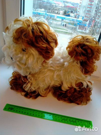 Собака СССР