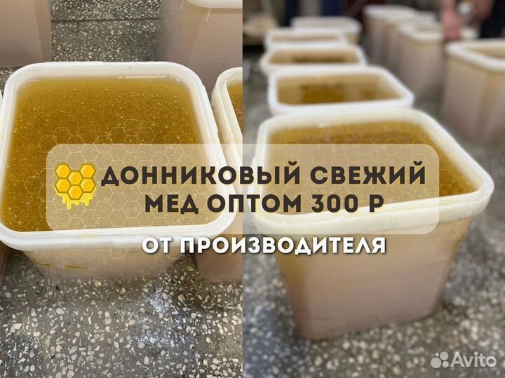 Свежий мед Донниковый