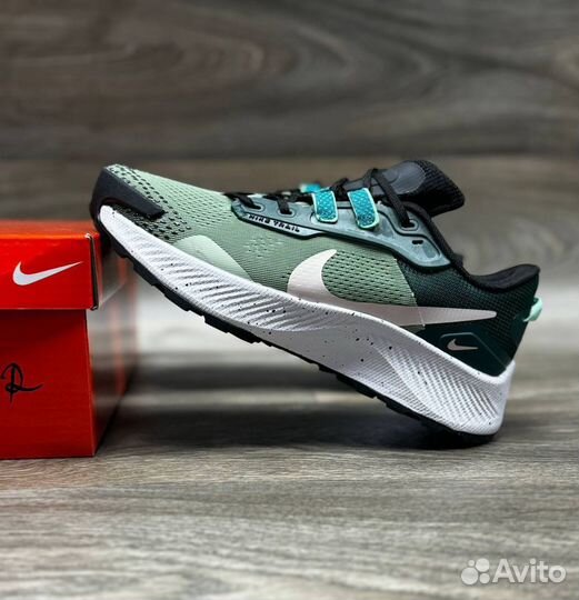 Nike pegasus trail 2