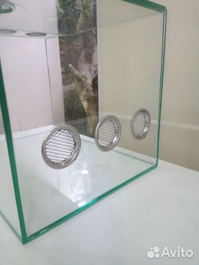 Дизайнерский террариум