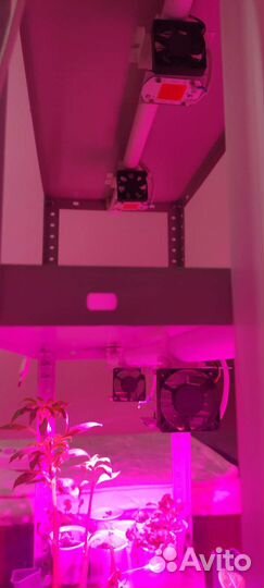 Стеллаж для рассады, фитостеллаж для растений