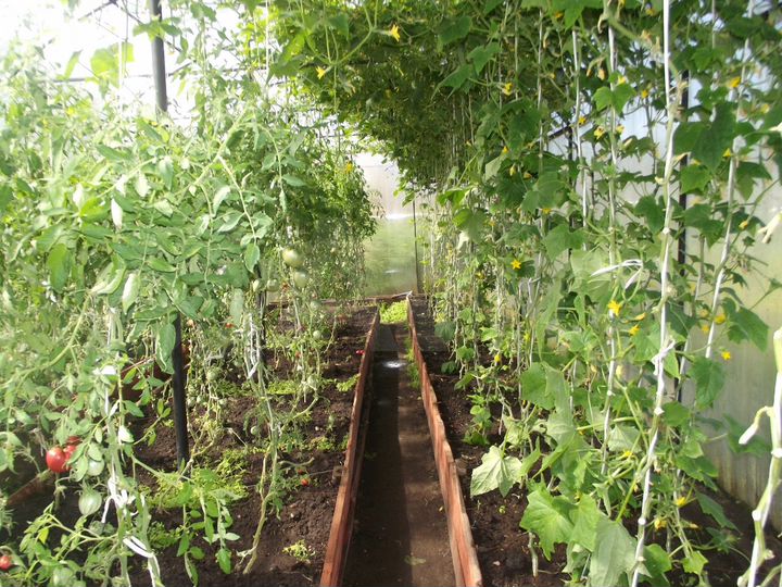 Дача 54 м² на участке 12 сот.