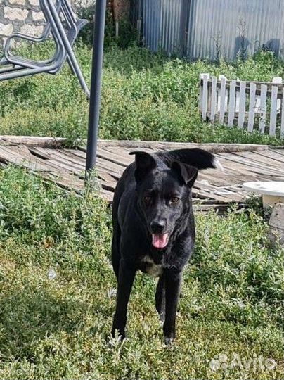 Молодая девочка