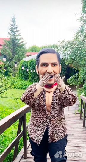 Шоу ростовых кукол звезд