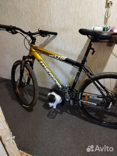 Велосипед горный