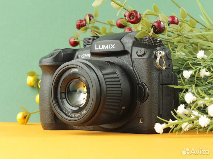 Фотоаппарат Panasonic Lumix GH5 kit 25 f1,7