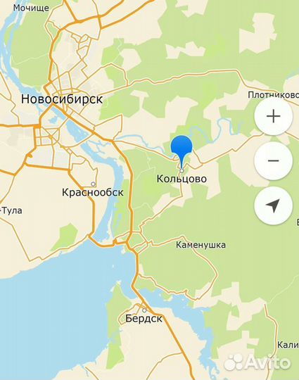 Саженцы смородины черной красной