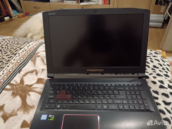 Игровой ноутбук asus