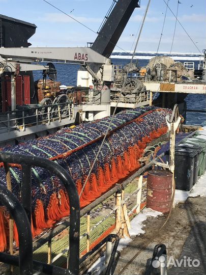 Помощь в оформлении документов