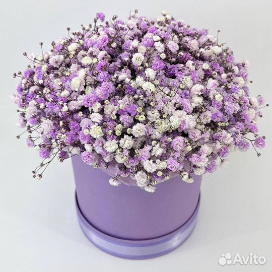 Розы цветы доставка 25 35 51 101