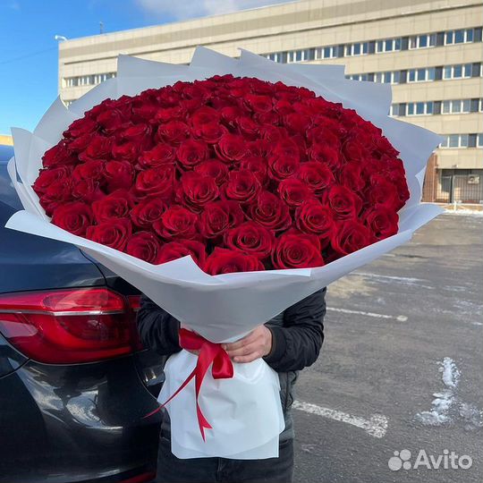 Белые Розы с доставкой / 101роза 70см доставка