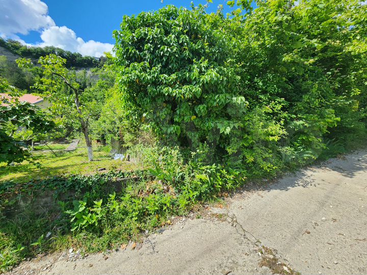 Участок 5,5 сот. (СНТ, ДНП)