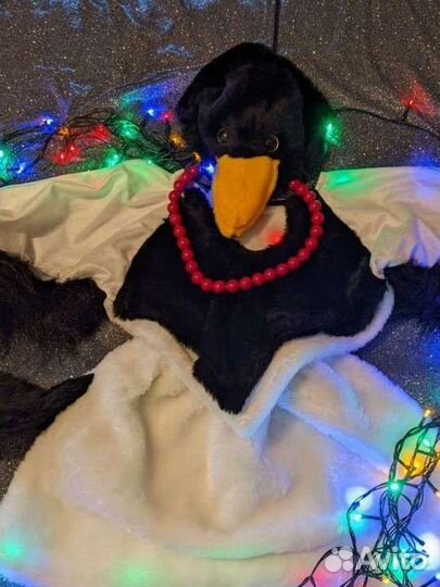 Костюм Сорока-Белобока и Черный Ворон напрокат