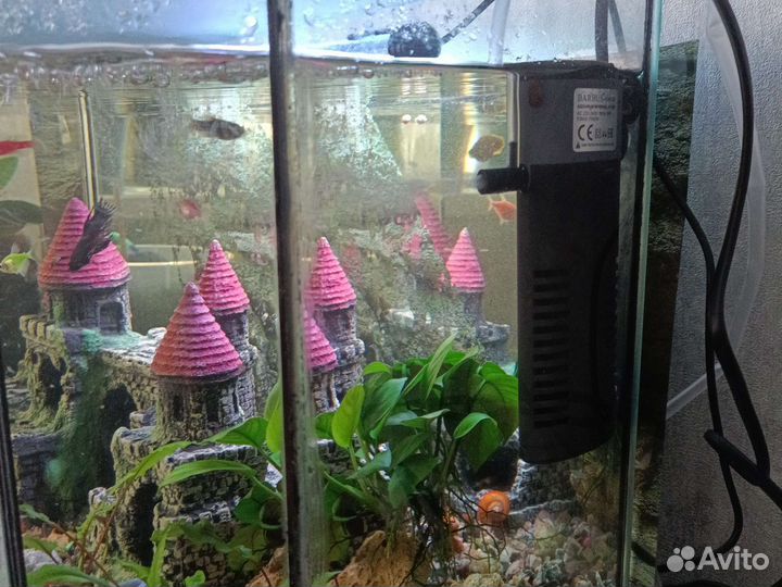 Фильтр для аквариума