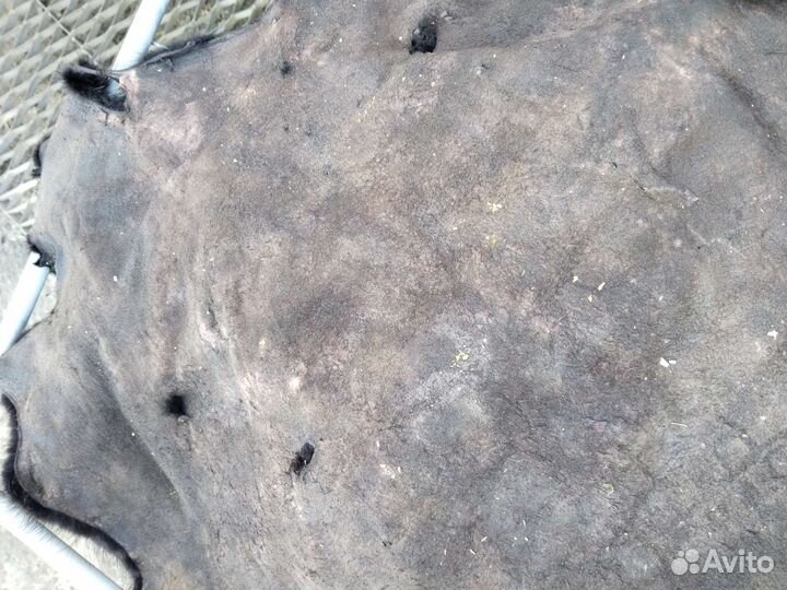 Шкурка нутрии