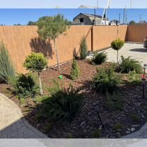 Щепа / мульча