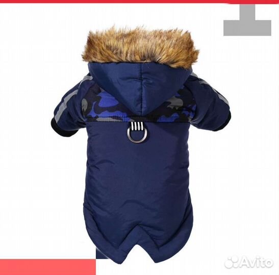 Одежда и обувь для маленьких собак