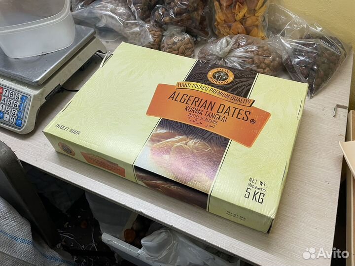 Финики алжир