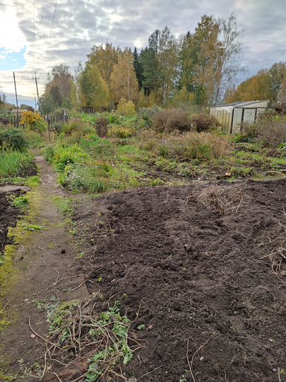 Дача 20 м² на участке 8 сот.