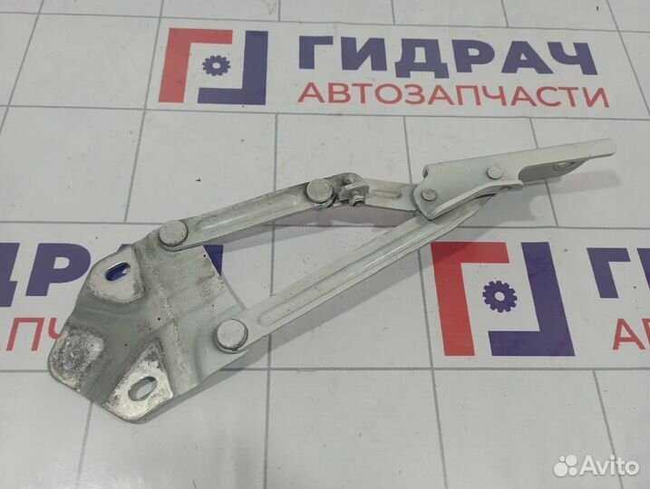 Петля капота правая Volkswagen Touran (1T3) 1T0823302F