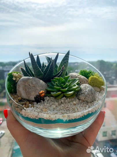 Флорариум с суккулентами