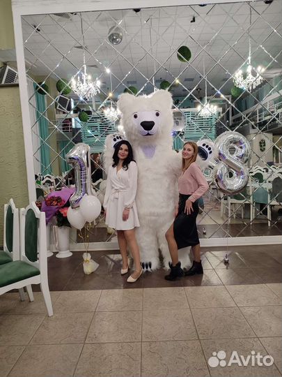 Мишка Тедди, Зайка, Белый медведь. поздравление