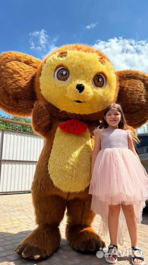 Аниматор/Белый Медведь,Чебурашка,Халк, Мишки Тедди